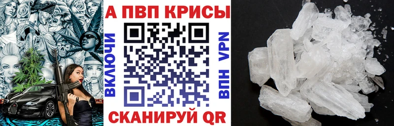 A PVP крисы CK Алзамай