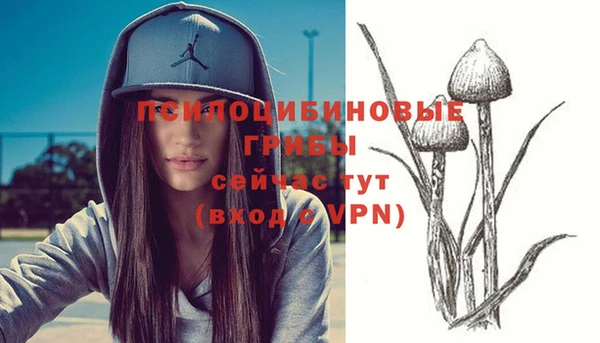 альфа пвп Кулебаки