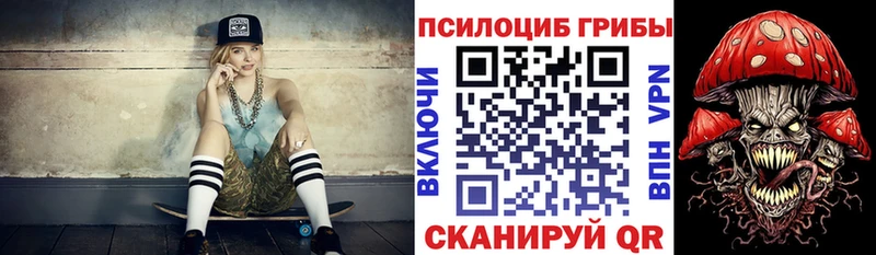 Купить закладки  Алзамай  Галлюциногенные грибы мицелий 